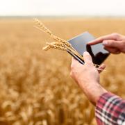 Homme avec une tablette dans un champs