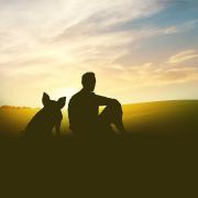 Un cochon et un homme regardant le coucher / lever de soleil