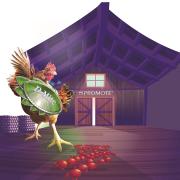Poule et poux rouges devant une grange