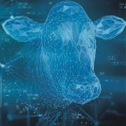Visuel d'une vache bleue type informatique